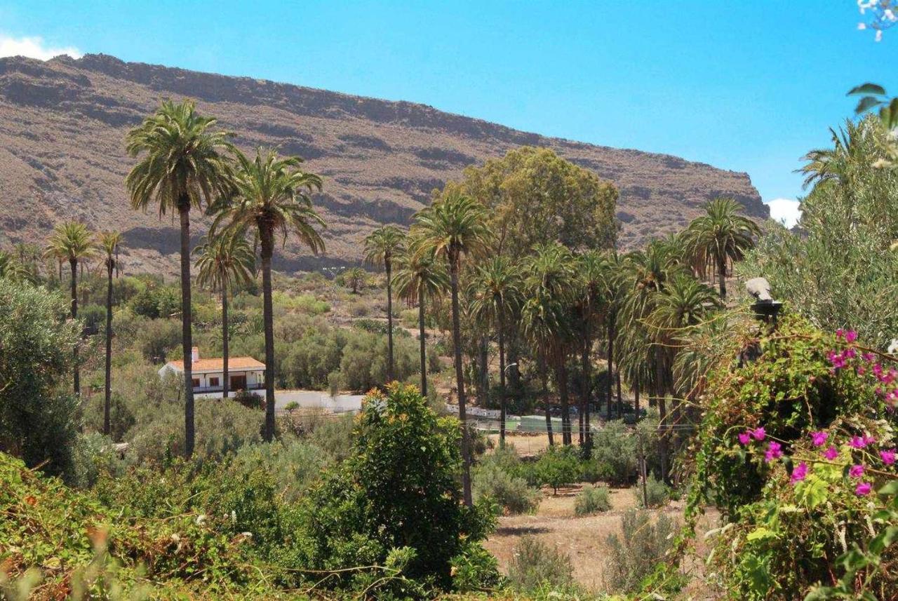 Casa Rural El Olivar La Molienda Santa Lucia De Tirajana ภายนอก รูปภาพ